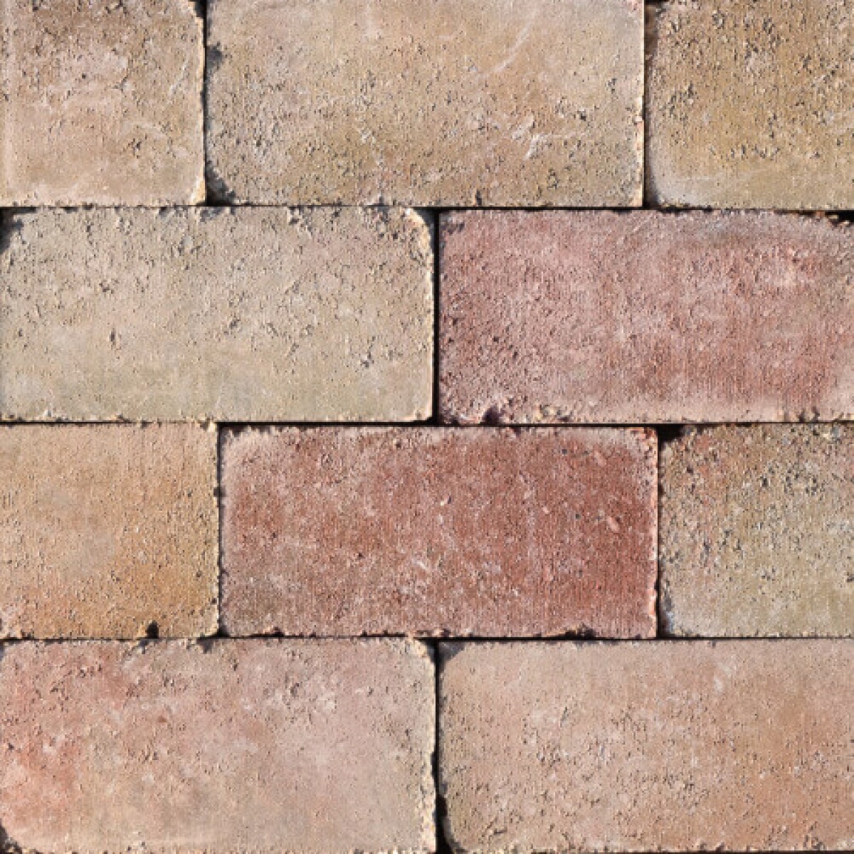 Frühwald Mátyáskő térkő - Antikolt Őszi erdő