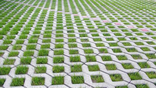 Frühwald Pázsitrácskő